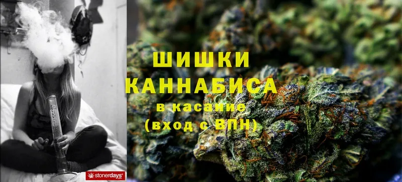 даркнет наркотические препараты  Льгов  Бошки Шишки SATIVA & INDICA 